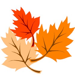 Bienvenida al oto&ntilde;o